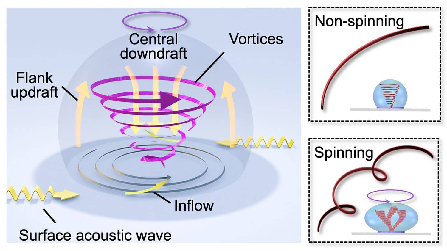 diagram illustrates physical forces that allow users to concentrate particles in liquid using ultrasound
